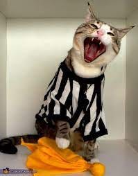 NFL Referee Cat - Halloween Costume Contest at Costume-Works.com | Cat  halloween costume, Pet halloween costumes, Pet costumes