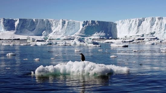 Antarctica hits record temperature of 18.3 degrees Celsius, UN confirms  report - Hindustan Times