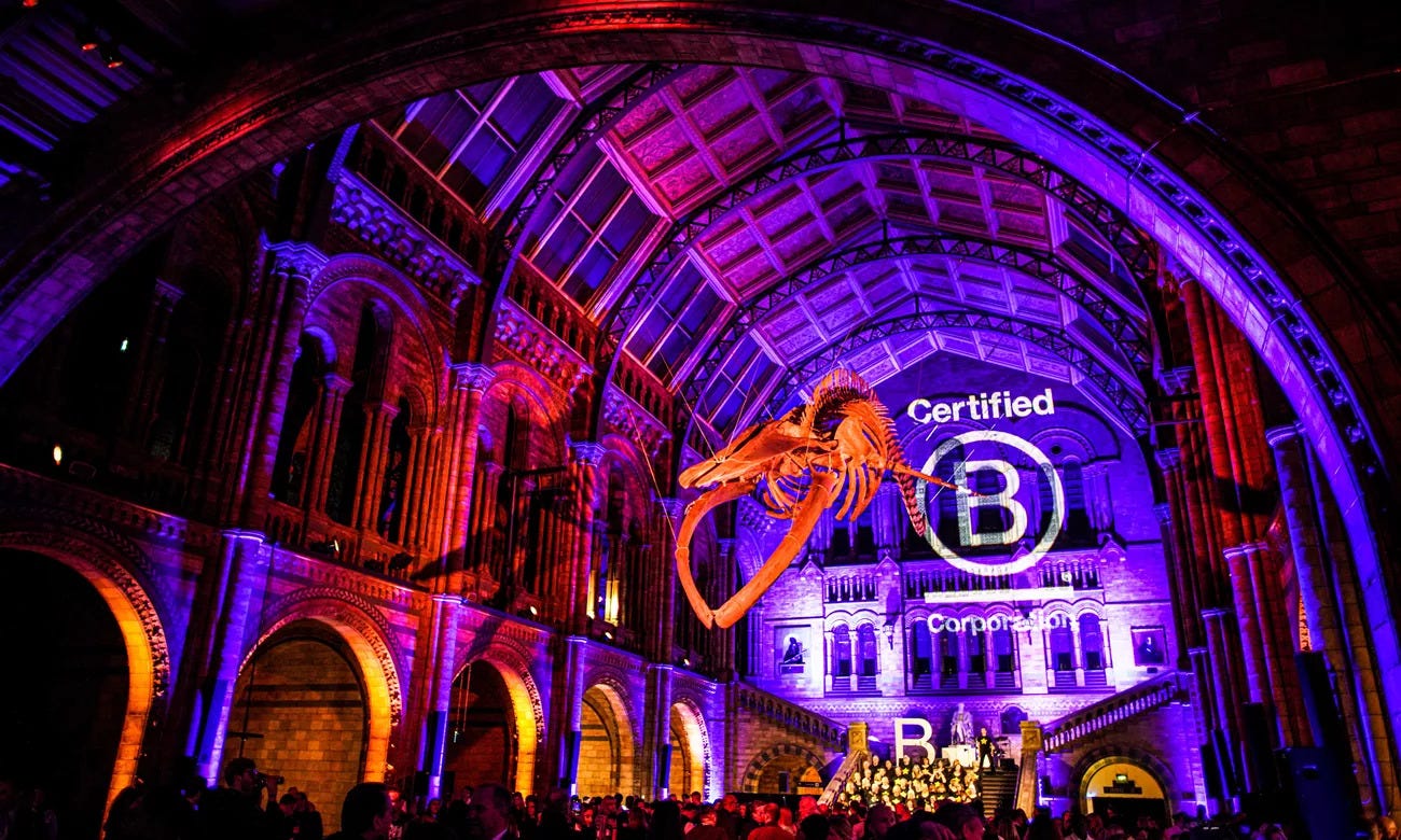 Photo of the B Corp 1000 party in the main hall of the Natural History Museum