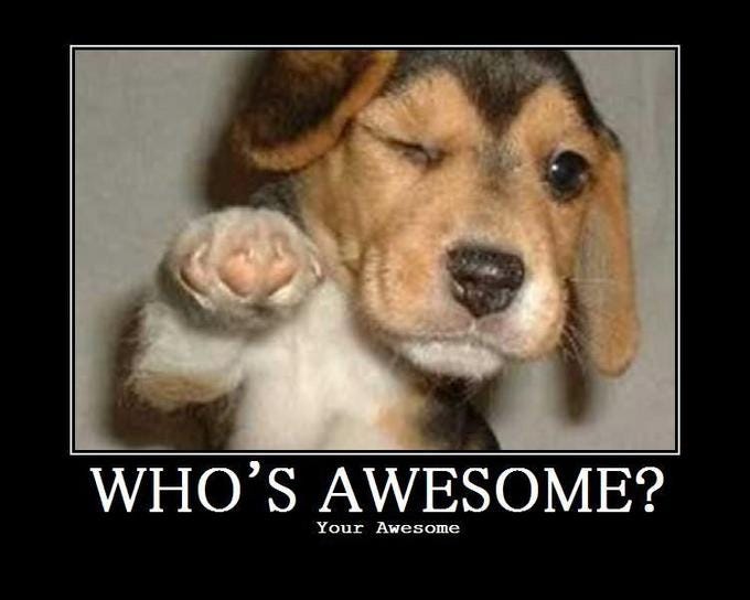 Who's Awesome? You're Awesome! / Sos Groso, Sabelo! | Know Your Meme