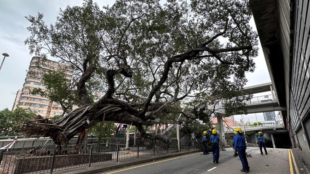 https://www.thestandard.com.hk/breaking-news/section/4/196580/Tree-collapses-in-street-under-effect-of-typhoon-Nalgae,-no-injury-reported%C2%A0%C2%A0
