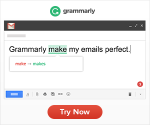 Grammarly Writing Support