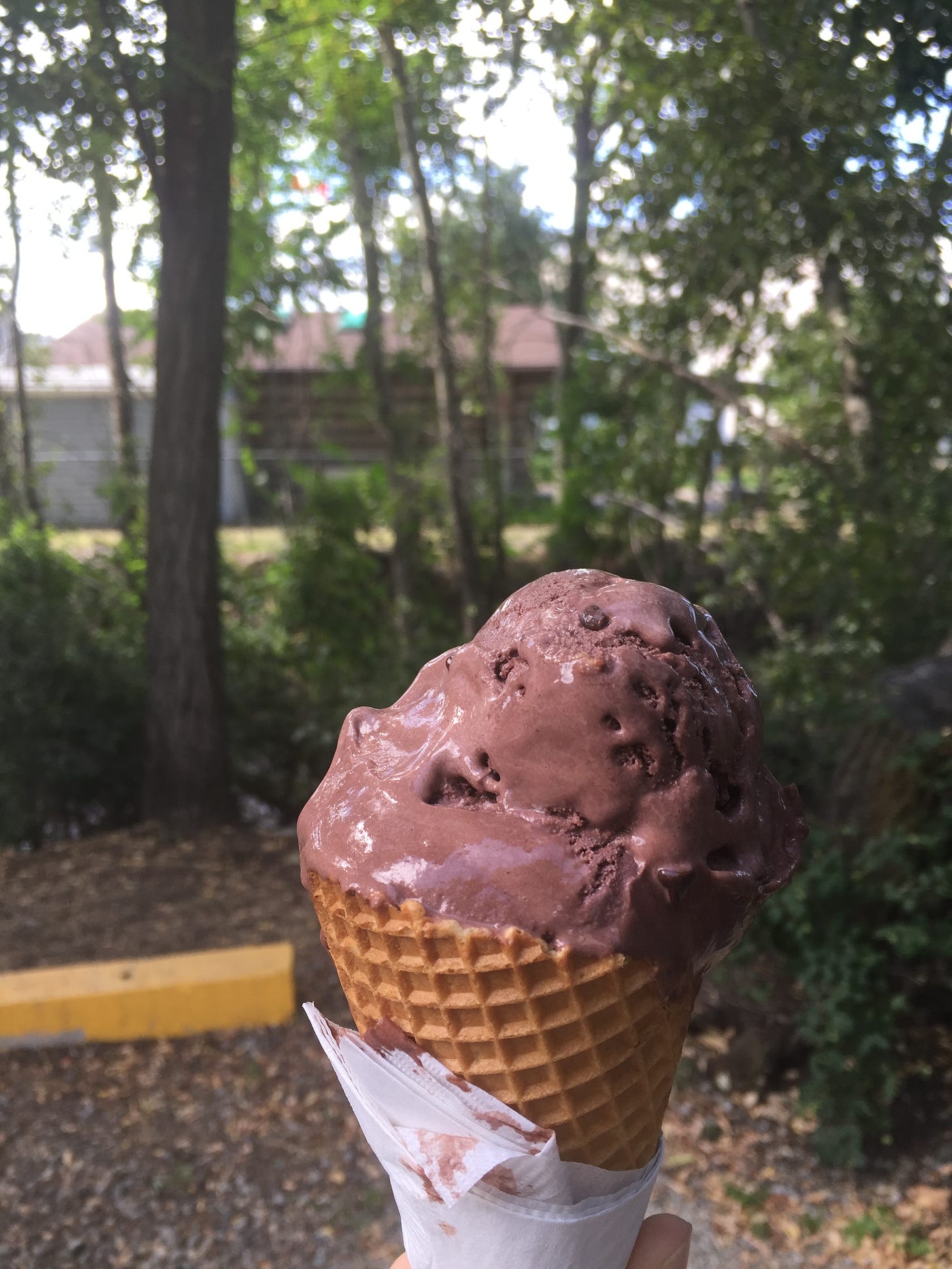 An scoop of ice cream in a waffle cone, chocolate with pieces of cherry and chocolate chips, held in front of a tree-lined creek.
