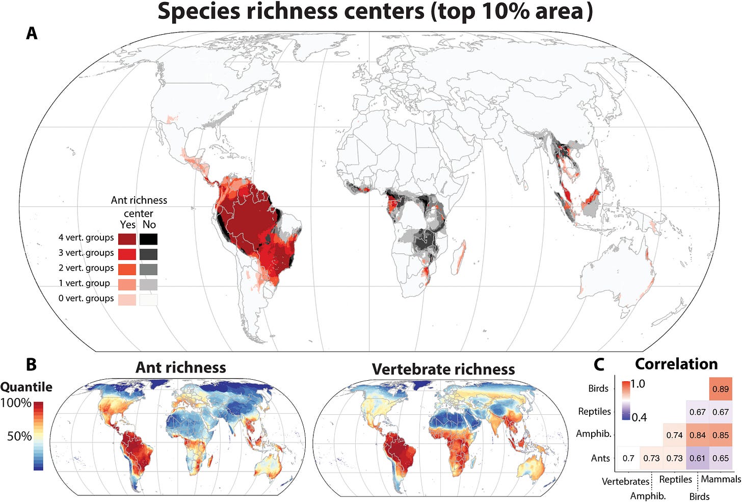 The global distribution of known and undiscovered ant biodiversity |  Science Advances