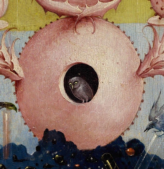 Pygmy Owl in the Left Panel of The Garden of Earthly Delights