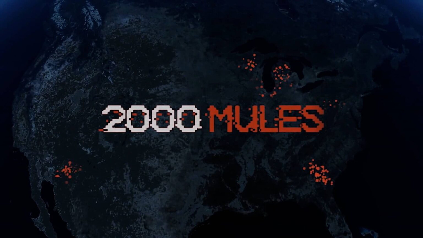 Watch the New Teaser of Upcoming Film "2000 Mules" - World ...