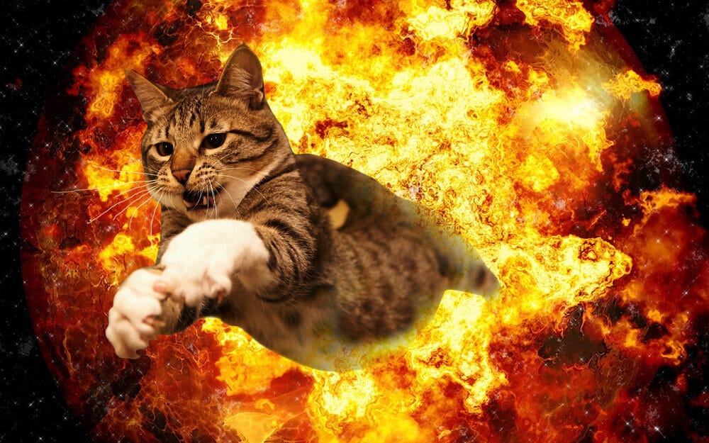 20 Cats Walking Away From Explosions As a Parody To Cool Guys Don ...