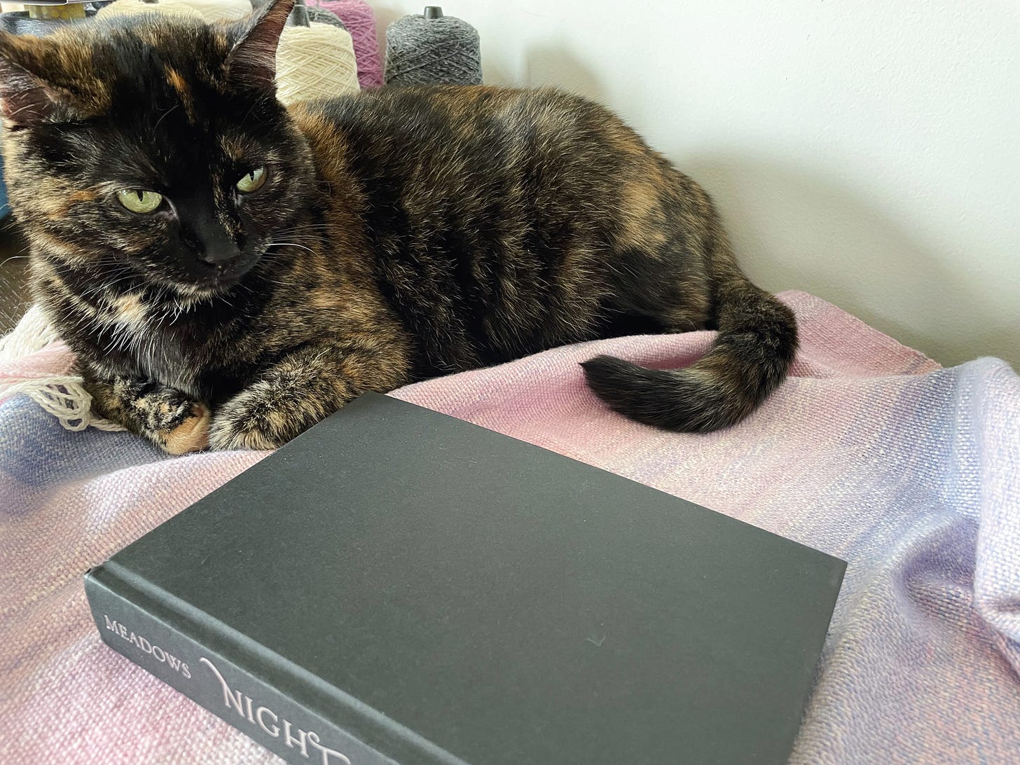 Tortie cat on a pastel woven cloth with a dark book
