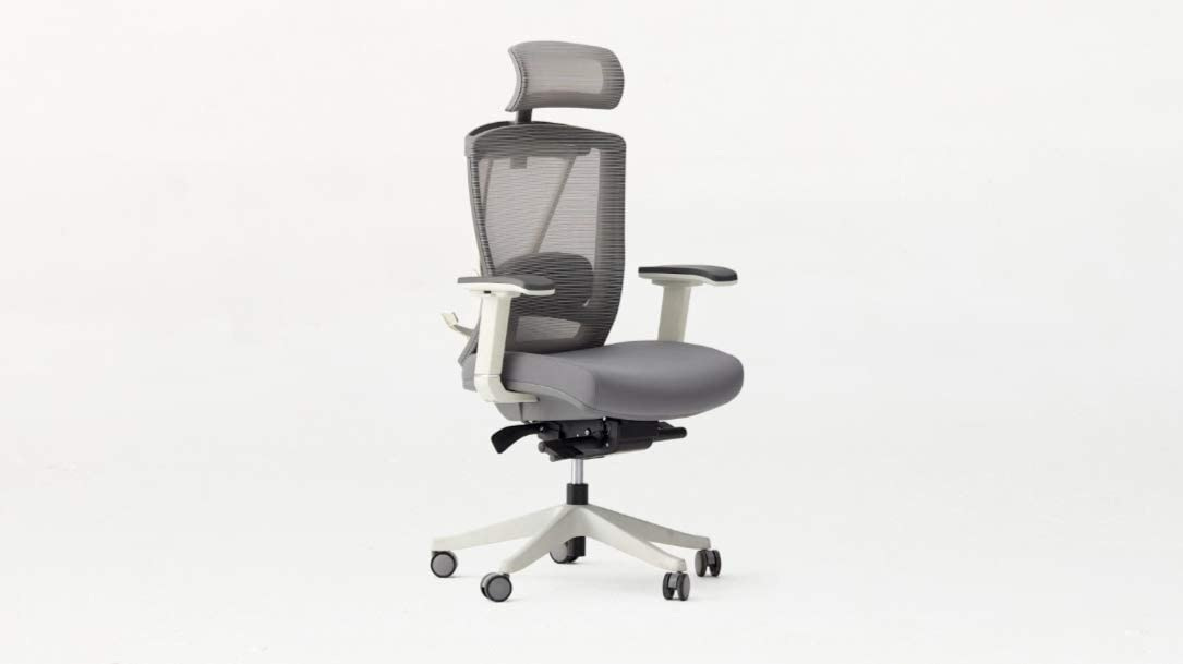 Amazon.com: Autonomous Ergo Chair 2 - Premium Ergonomic Office Chair - All  Black Adjustable Chair (Cool Gray): Kitchen & Dining