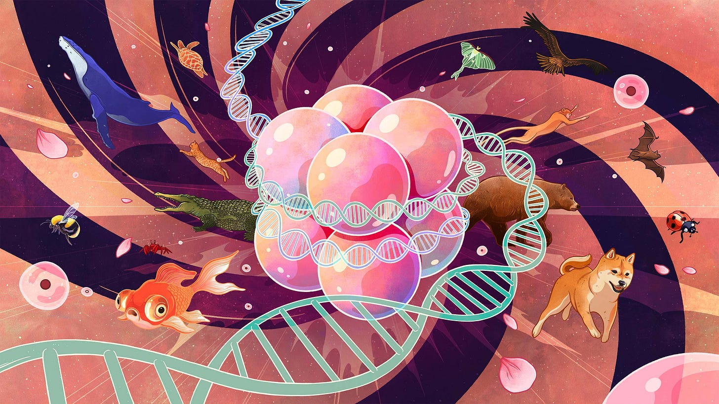 DNA's Histone Spools Hint at How Complex Cells Evolved | Quanta Magazine