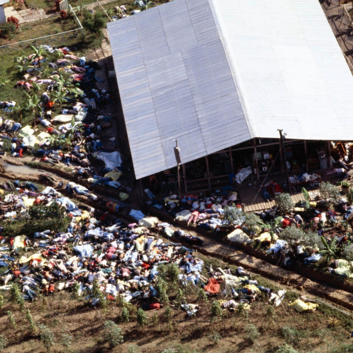 Mass Suicide at Jonestown - HISTORY