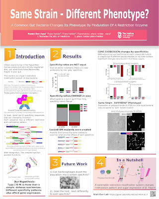 "Same strain - different phenotype?" poster