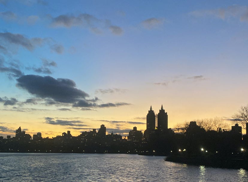 A blue and gold sunset over Central Park