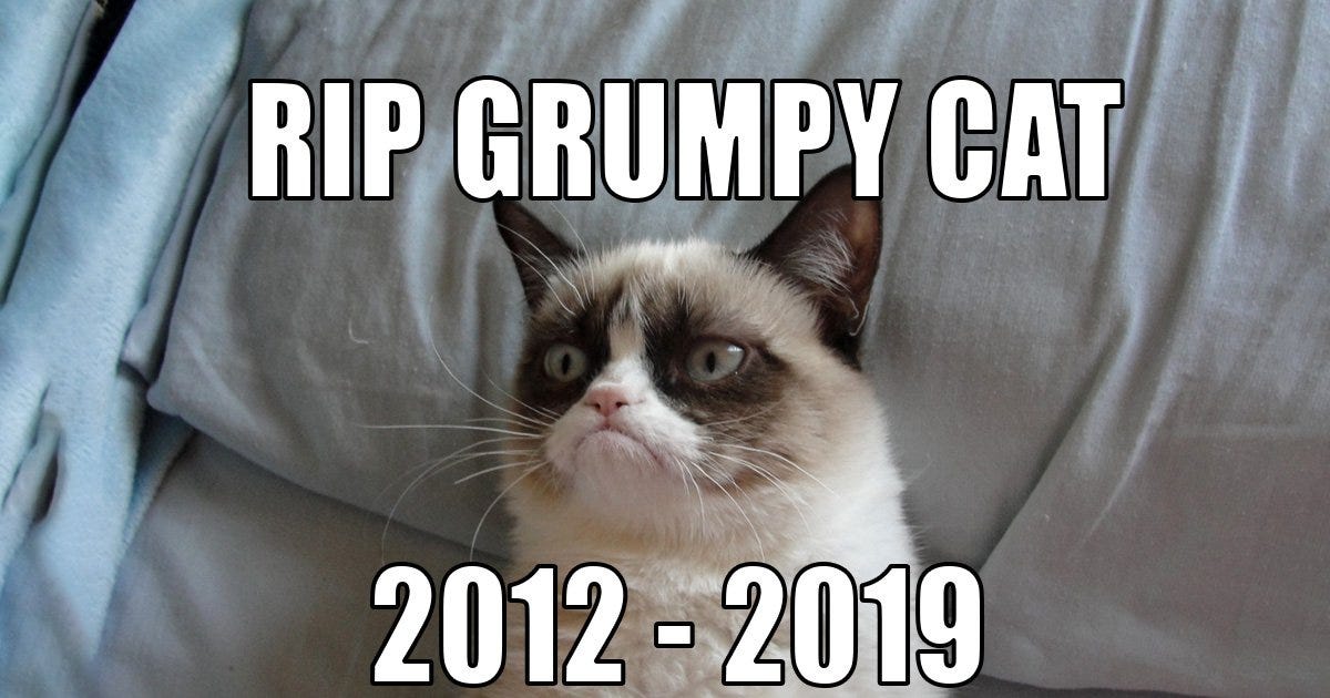 RIP Grumpy Cat 2012-2019