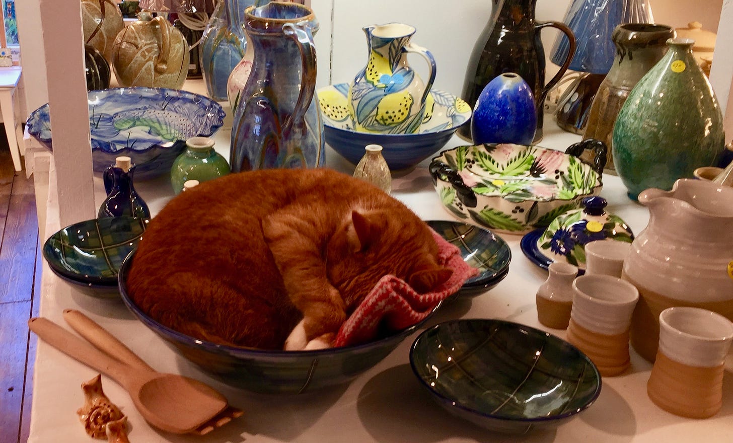 Cat sleeping in a dish at Crail Pottery
