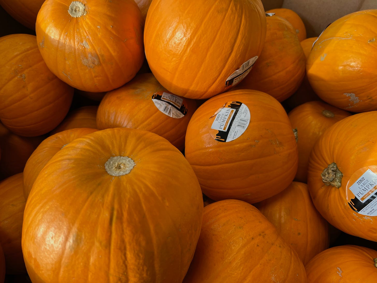 pumpkins on sale in a supermarket in the UK