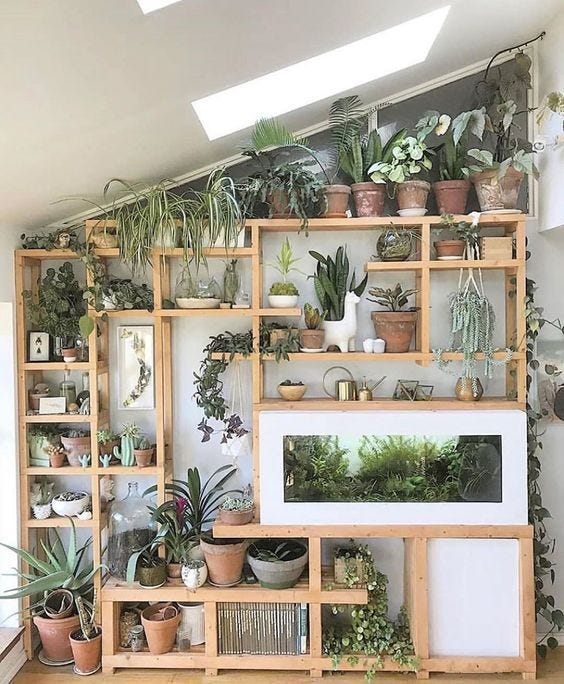 Plant Shelf Ideas: 35+ Creative Ways To Display Plants | Indoor plant wall,  Plant decor indoor, House plants decor