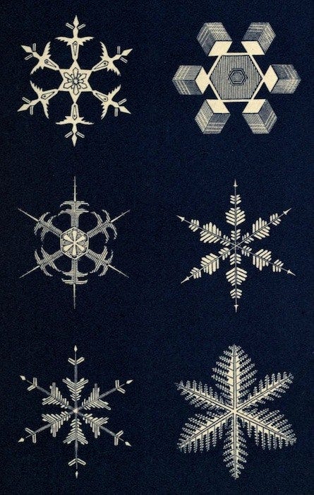 Geometric images of snowflakes on a black backround