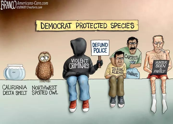 A.F. Branco for Oct 20, 2022