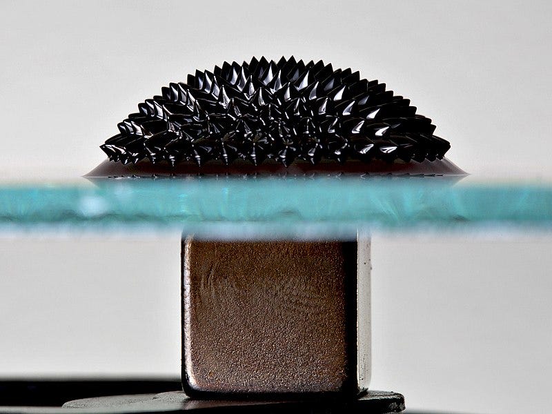  Ferrofluid on a reflective glass plate under the influence of a strong magnetic field