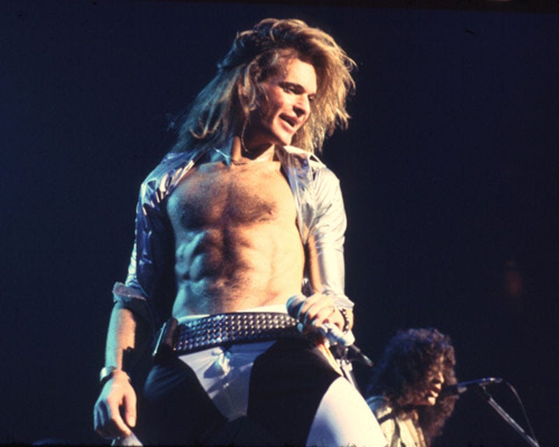 Image result for david lee roth gay