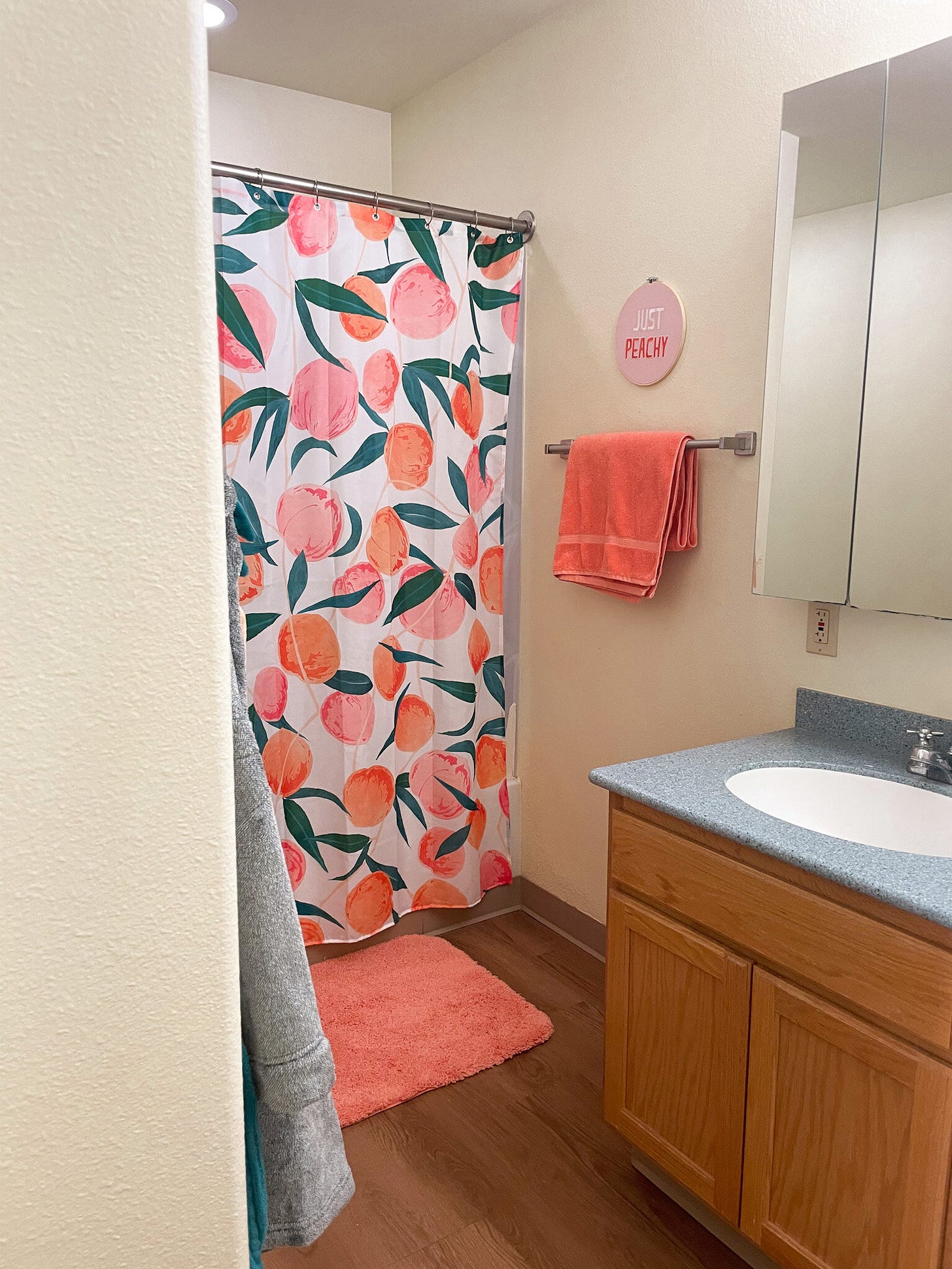 Peach Themed Bathroom Makeover | Under $100