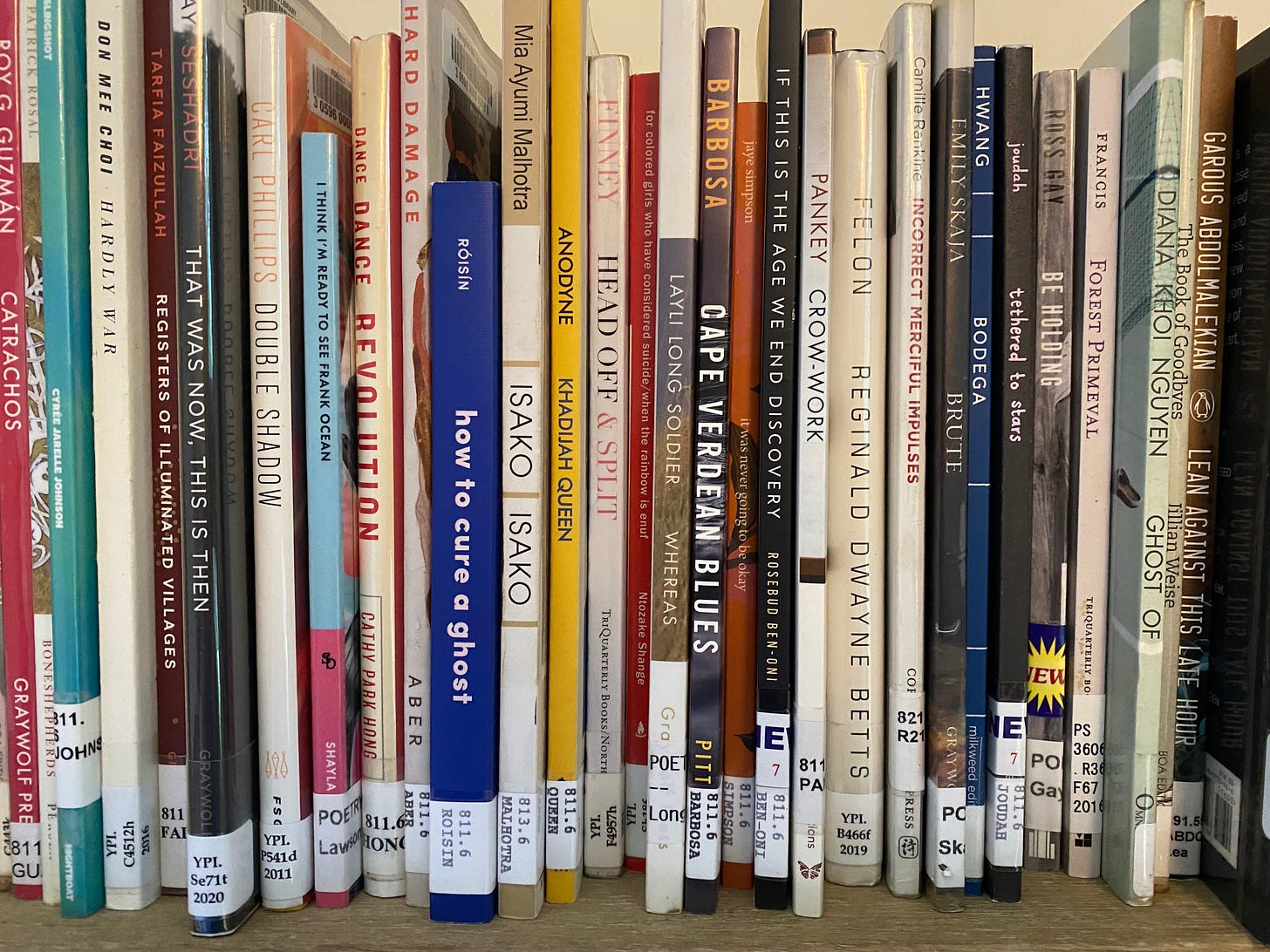 Closeup of a shelf full of thin poetry books with colorful spines.