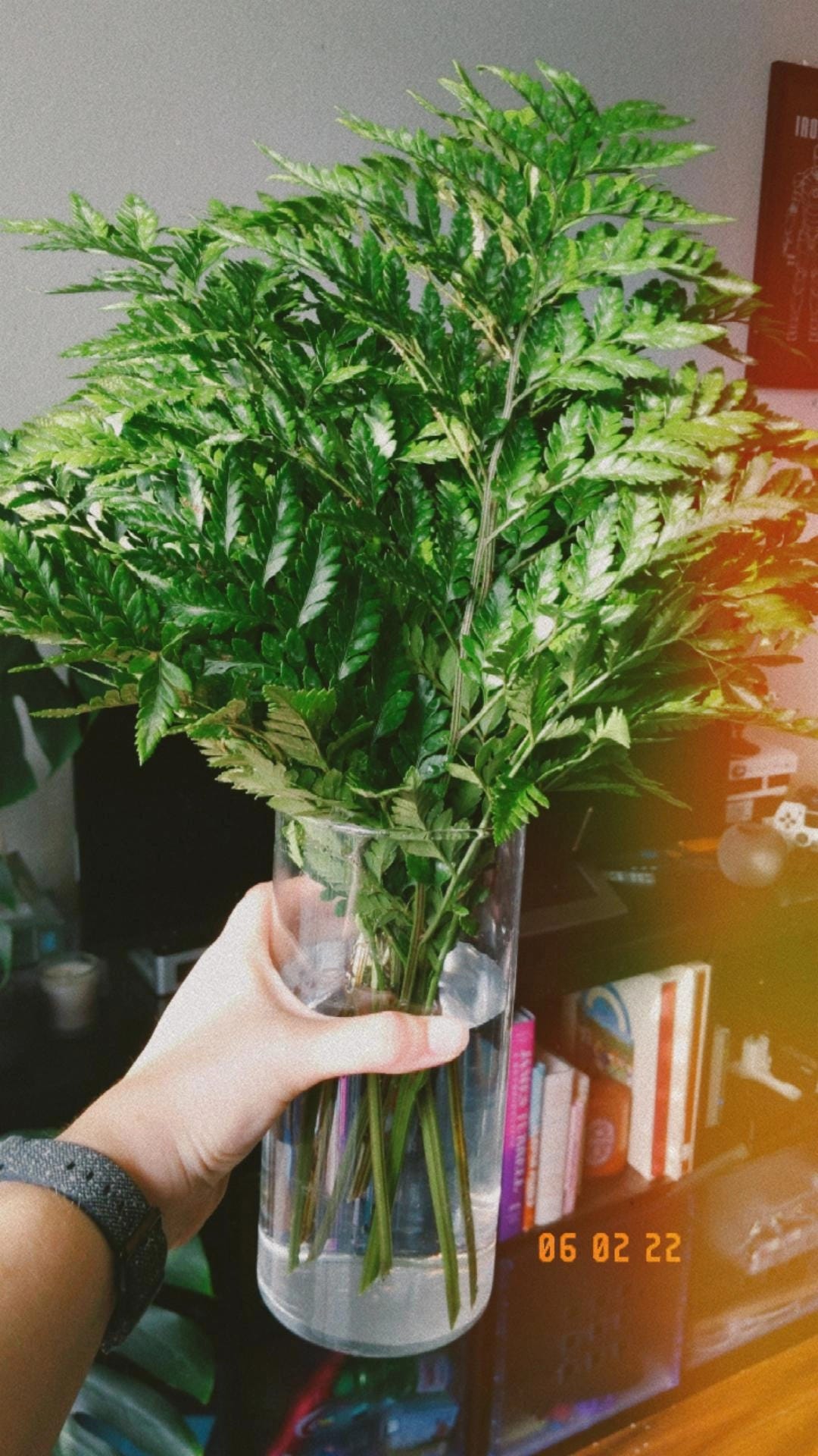 a bouquet of leatherleaf ferns in a glass vase