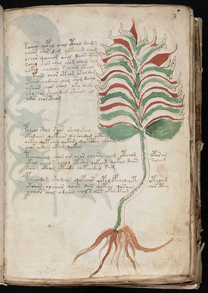 File:Voynich Manuscript (7).jpg