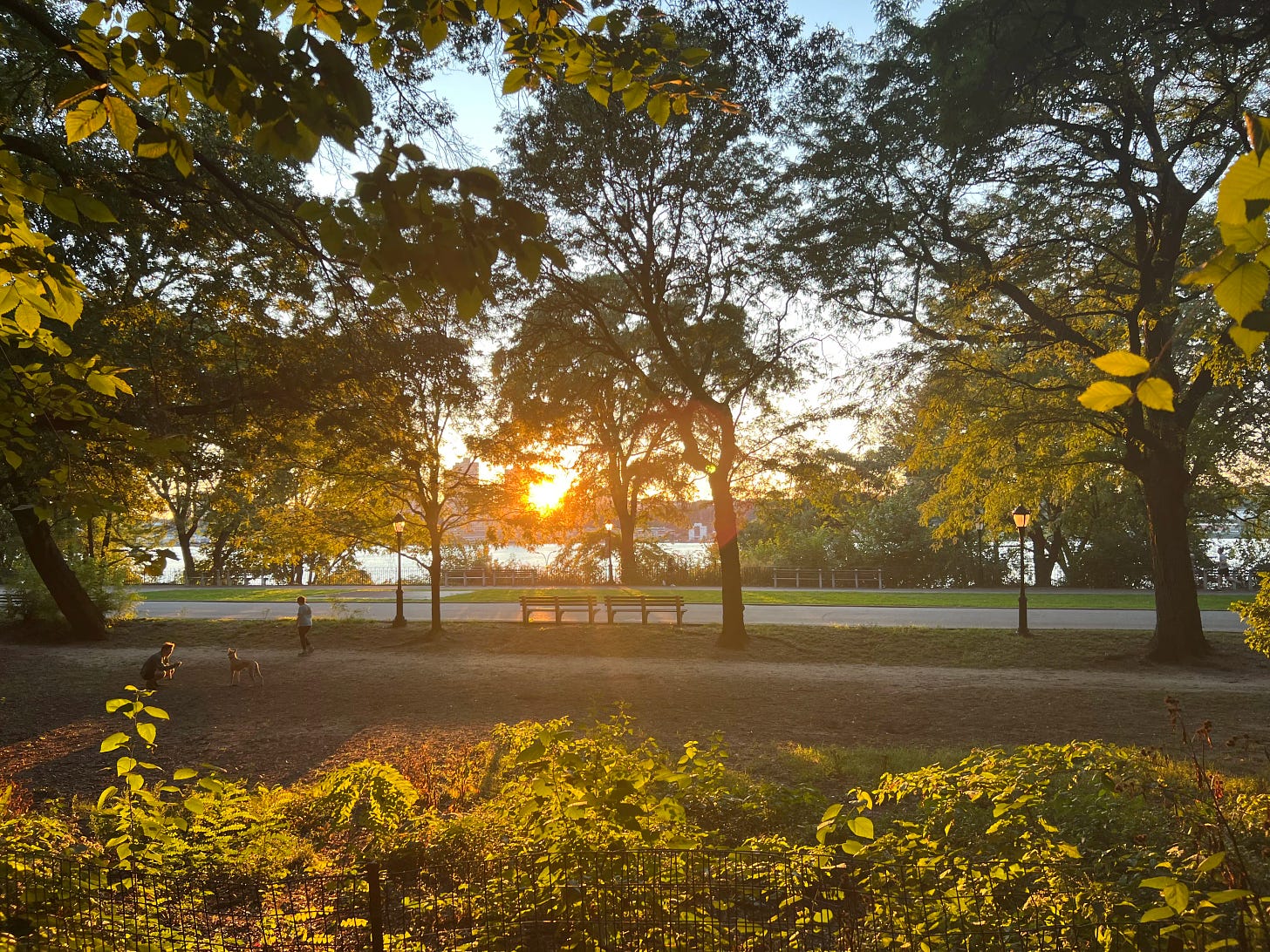 Sunset and Hudson through trees