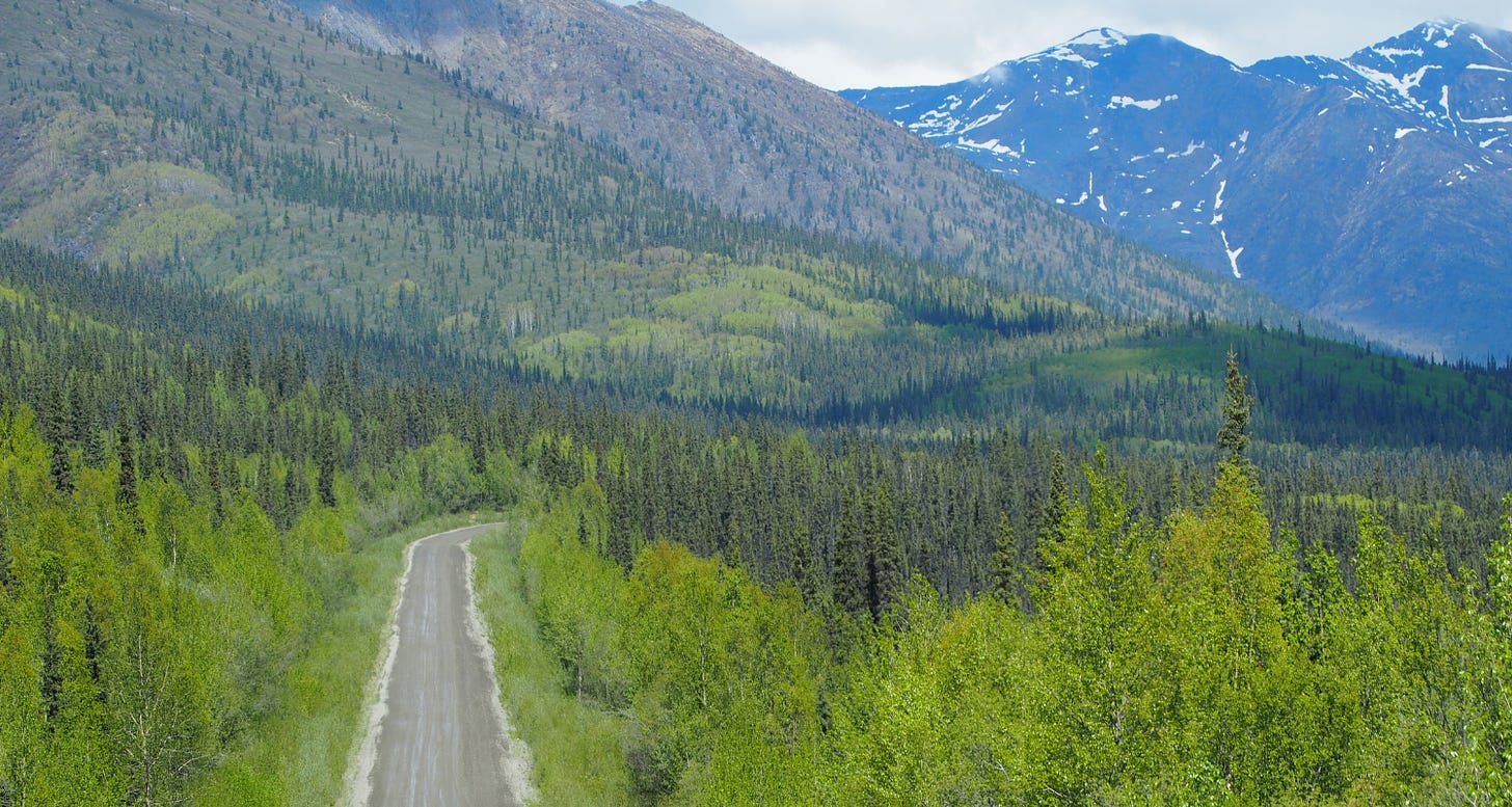 A road disappears into the distance through a thick forest in the Yukon, Canada