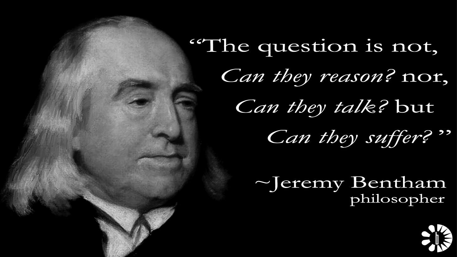 Jeremy Bentham, the Question is Can They Suffer? - Humane Decisions