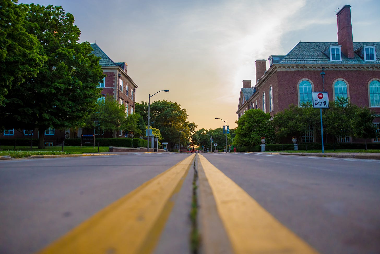 Photo of Gregory Drive showing campus buildings. It's taken from the middle of the street so you can see the double-yellow lines painted on the road.