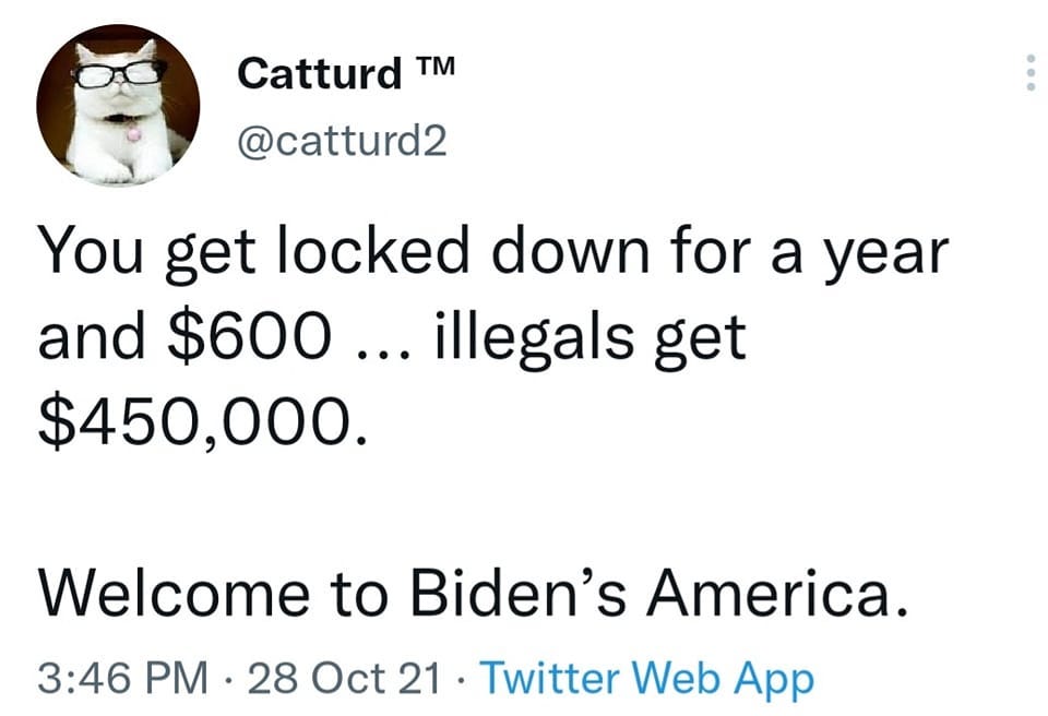 May be a Twitter screenshot of text that says 'Catturd TM @catturd2 You get locked down for a year and $600.. ...illegals get $450,000. Welcome to Biden's America. 3:46 PM. 28 Oct 21. Twitter Web App'