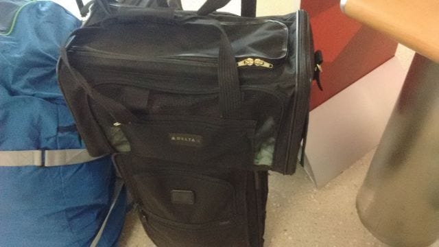 Luggage and cat carrier