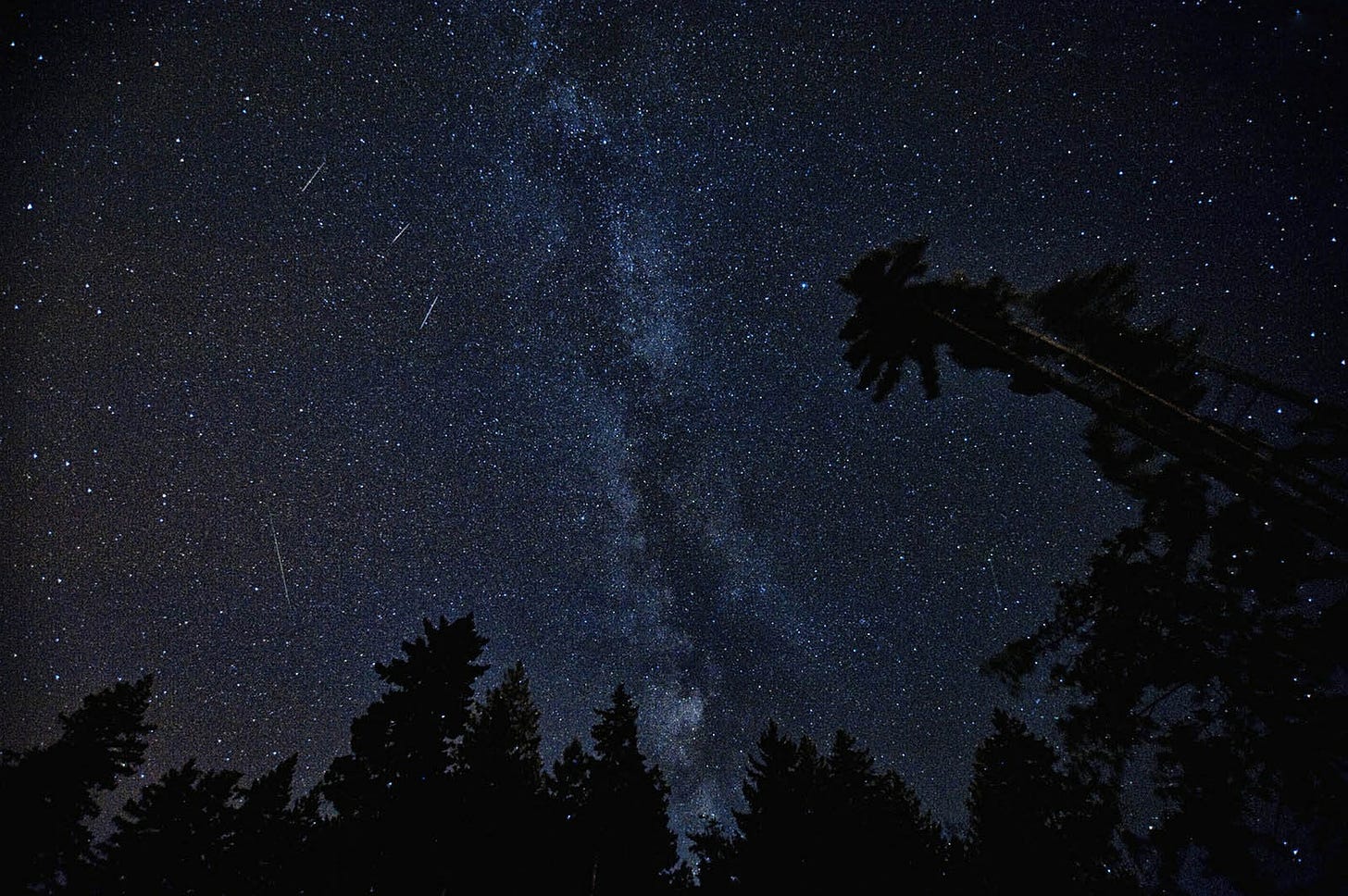 Picture of meteor shower in a forest clearing