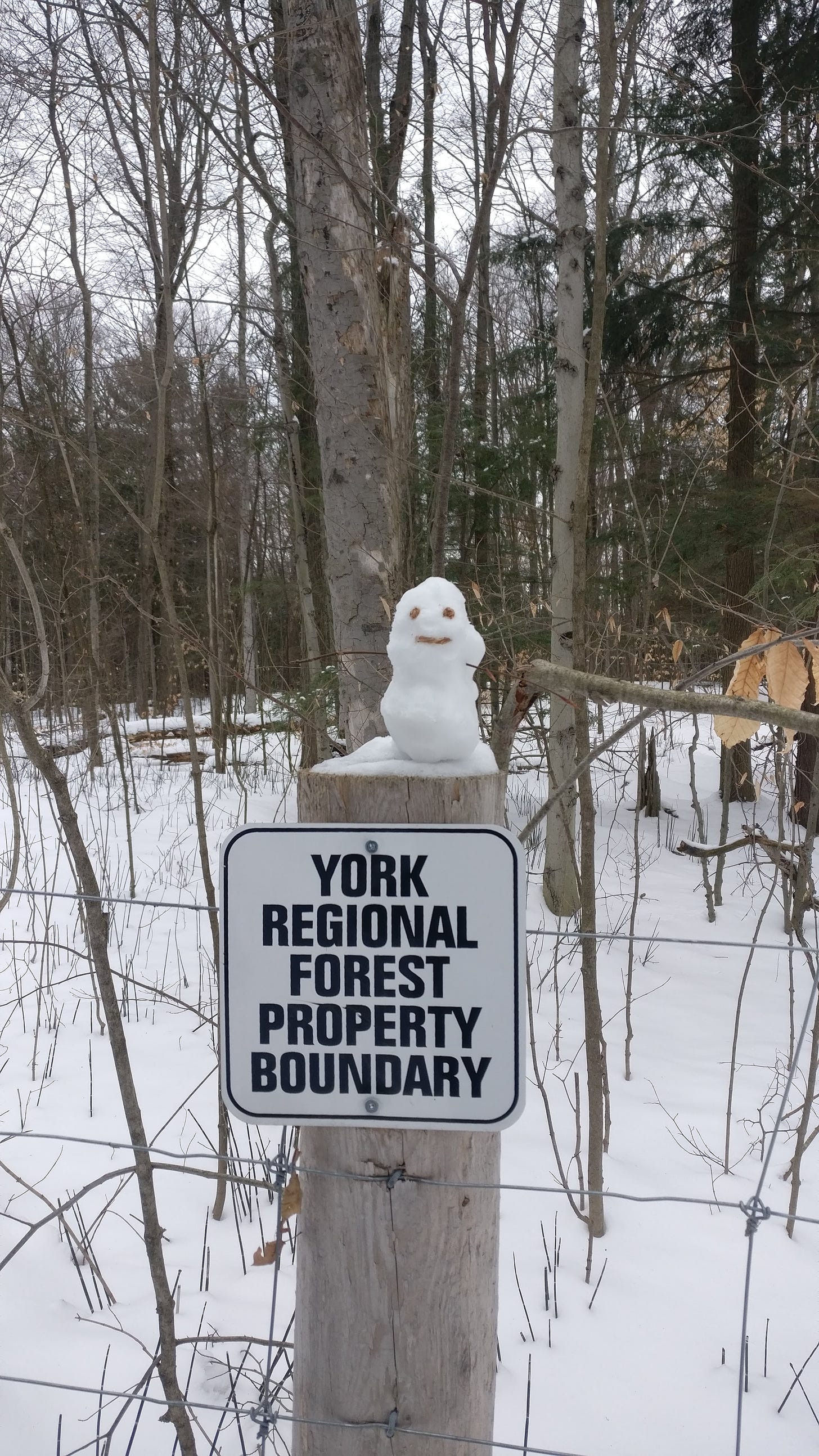A teeny tiny snowman on a fencepost above a sign marking the park boundary