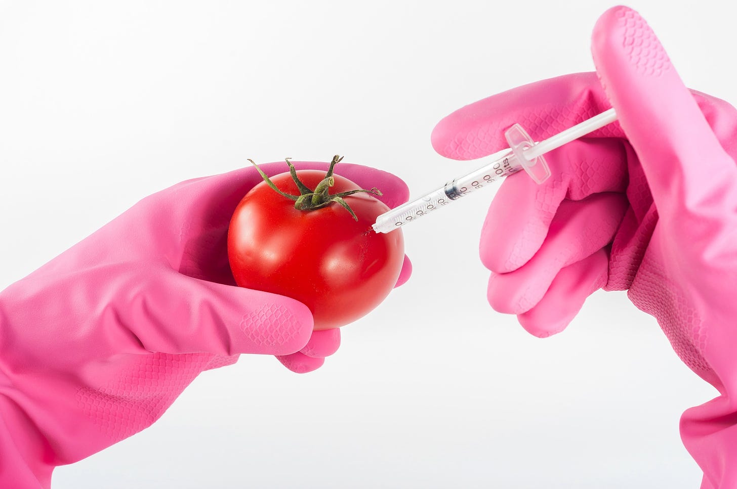 I really wish I could draw what I imagine in my head. Picture shows hands with pink kitchen gloves holding a syringe and a tomato. This is not how food is modified. Really.