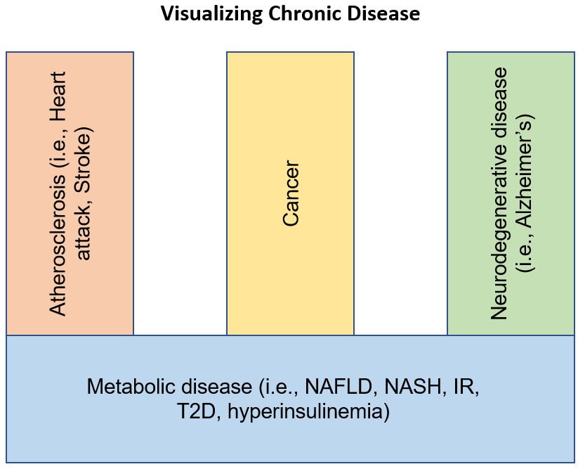 Visualizing the four types of chronic disease.