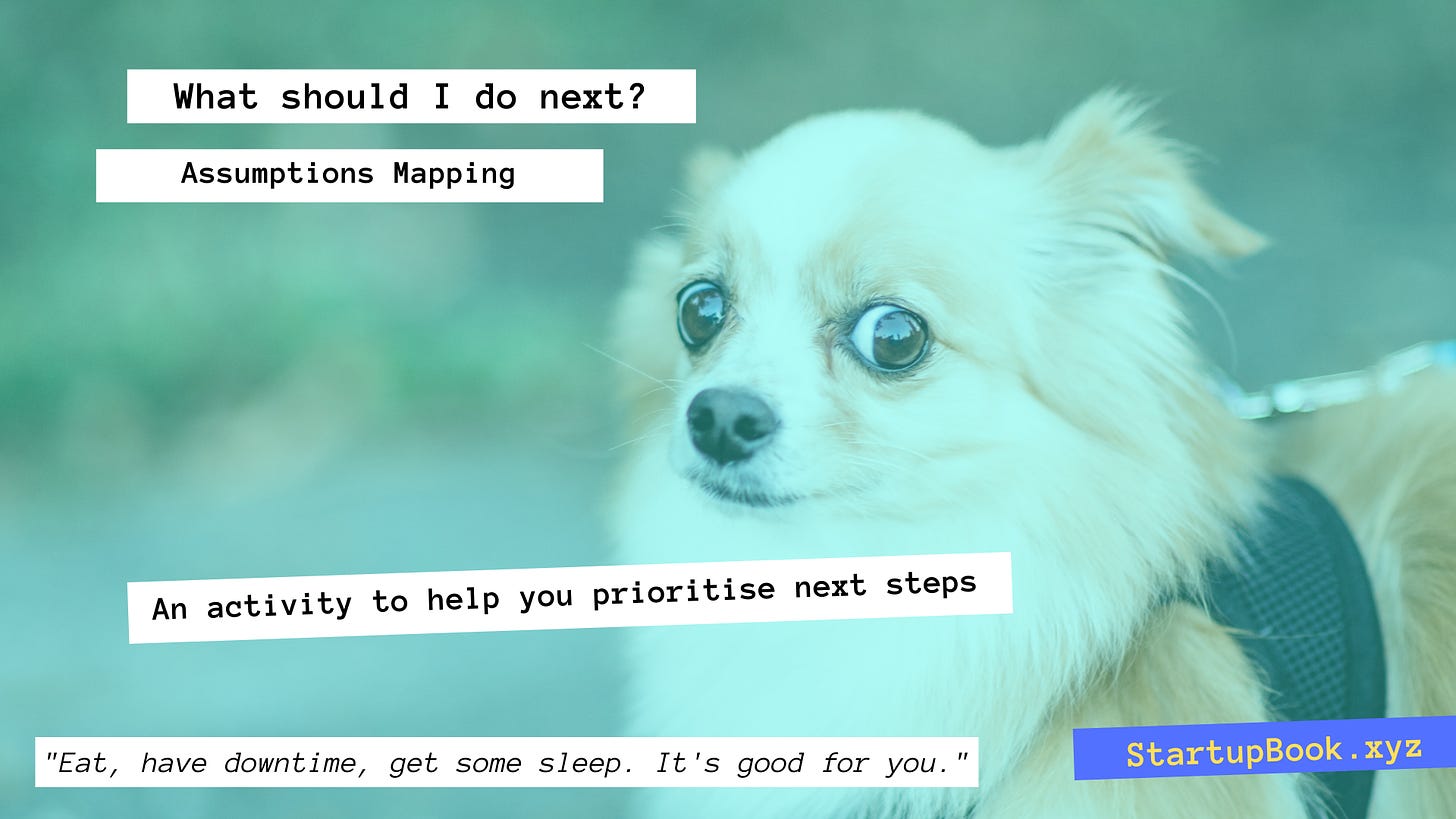 Photo of an uncertain dog, with text overlay "What should I do next? Assumptions Mapping. An activity to help you prioritise next steps"