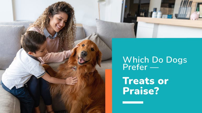 treats vs praise