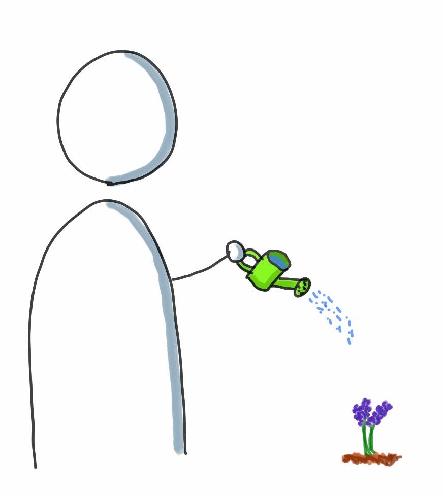 Person watering a plant