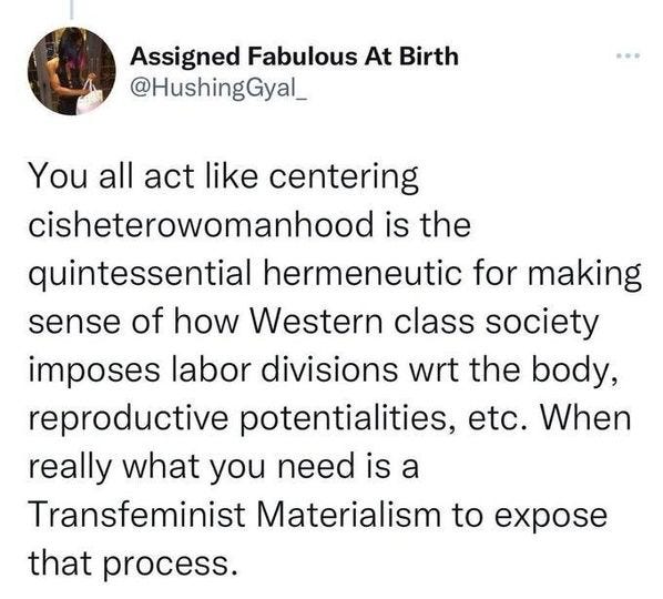 May be an image of 1 person and text that says 'Assigned Fabulous At Birth @HushingGyal_ You all act ike centering cisheterowomanhood is the quintessential hermeneutic for making sense of how Western class society imposes labor divisions wrt the body, reproductive potentialities, etc. When really what you need is a Transfeminist Materialism to expose that process.'