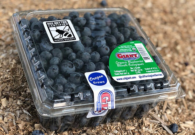 Image of package of blueberries.