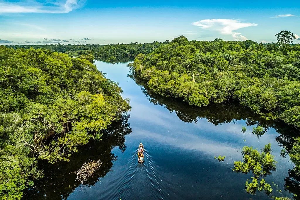 Alemanha quer reativar Fundo Amazônia - Money Report