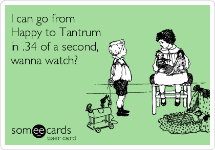 Family | Tantrums funny, Tantrums toddler, Toddler humor