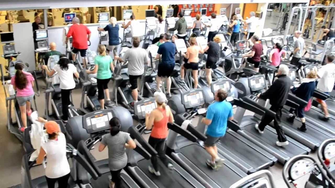 The Gym Is Packed For 6 Weeks - Workforce Application