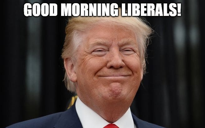 Photograph of Donald Trump making a squint-eyed horizontal smirk with top caption "GOOD MORNING LIBERALS" in Impact font