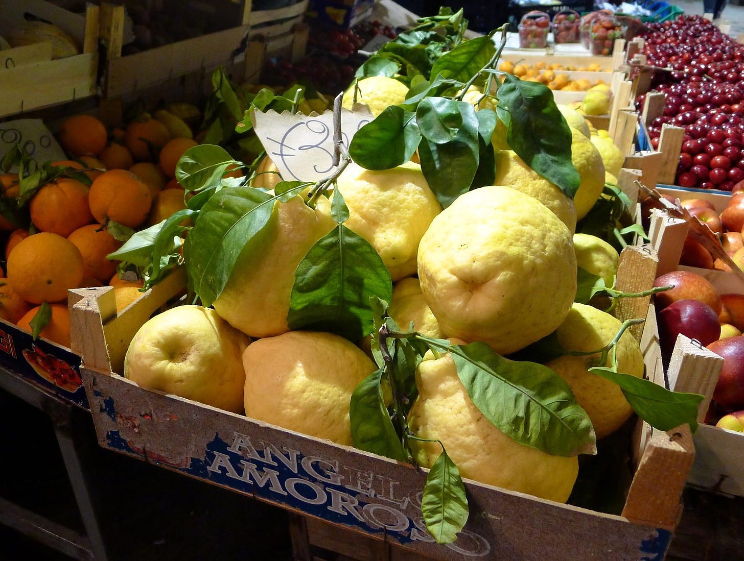 File:Limone di Sorrento.jpg - Wikimedia Commons