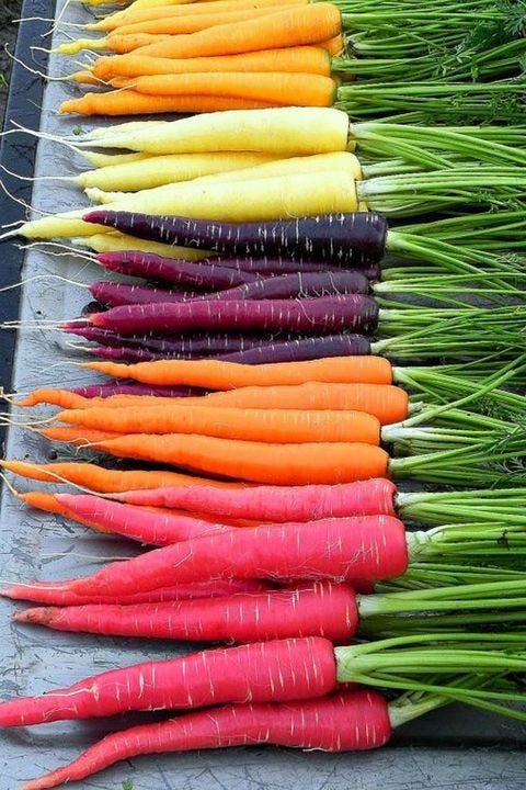 Whole food, Root vegetable, Local food, Vegetable, Natural foods, Vegan nutrition, Produce, Carrot, Ingredient, Leaf vegetable, 